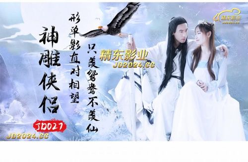 JD027 The Return of the Condor Heroes