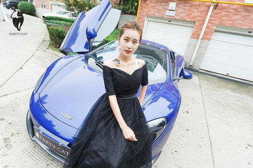 Party Cat Outdoor Fragrance Car Beauty Series Phase 2 Sexy Beauty PK Photo